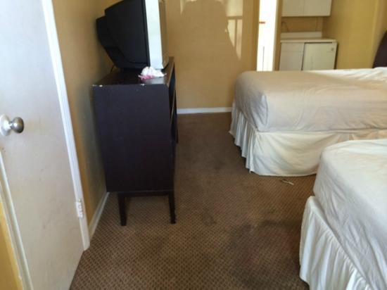 Avalon Waterfront Inn Fort Lauderdale Zimmer foto